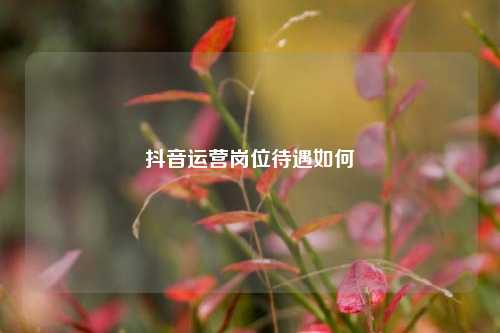 抖音运营岗位待遇如何