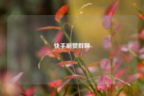 快手刷赞群聊