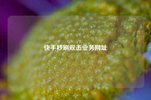 快手秒刷双击业务网址