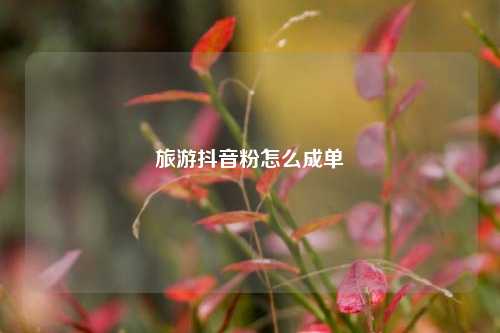 旅游抖音粉怎么成单