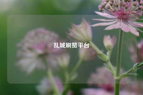 乱城刷赞平台