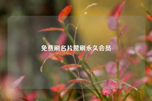免费刷名片赞刷永久会员
