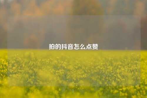 拍的抖音怎么点赞