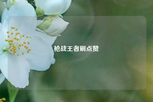 枪战王者刷点赞