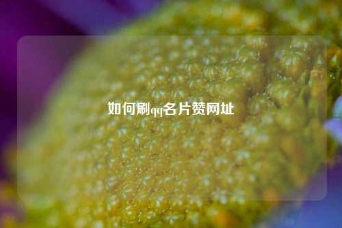 如何刷qq名片赞网址