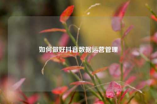 如何做好抖音数据运营管理