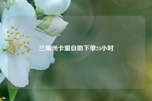 三角洲卡盟自助下单24小时