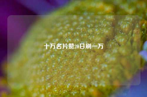 十万名片赞20日刷一万