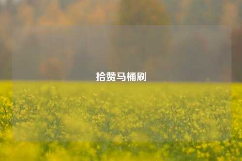 拾赞马桶刷