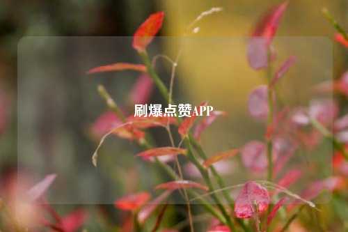 刷爆点赞APP