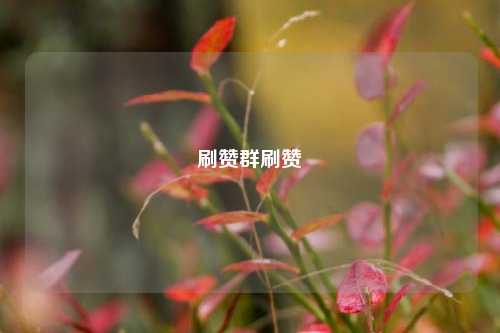 刷赞群刷赞