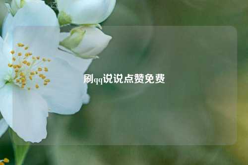 刷qq说说点赞免费