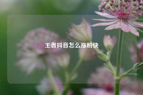 王者抖音怎么涨粉快