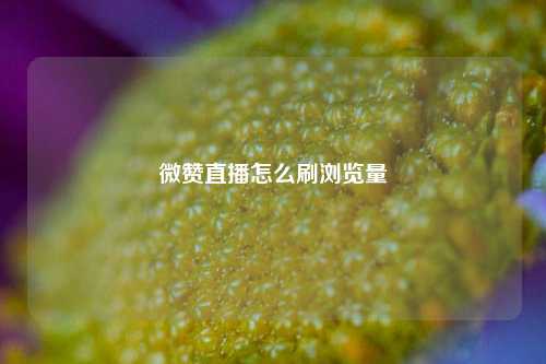 微赞直播怎么刷浏览量