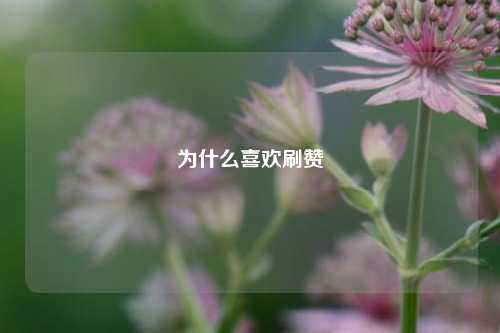 为什么喜欢刷赞